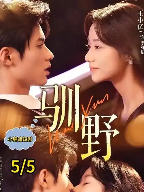 长夜有灯热播电视剧全集免费在线观看